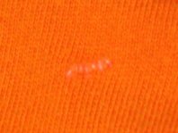 Sweat-orange-Webfehler.jpg