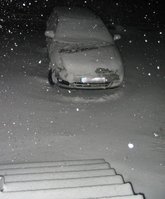 Schnee-2009-02-10.jpg