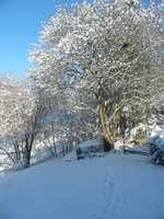 Schnee2009-02-14b.jpg