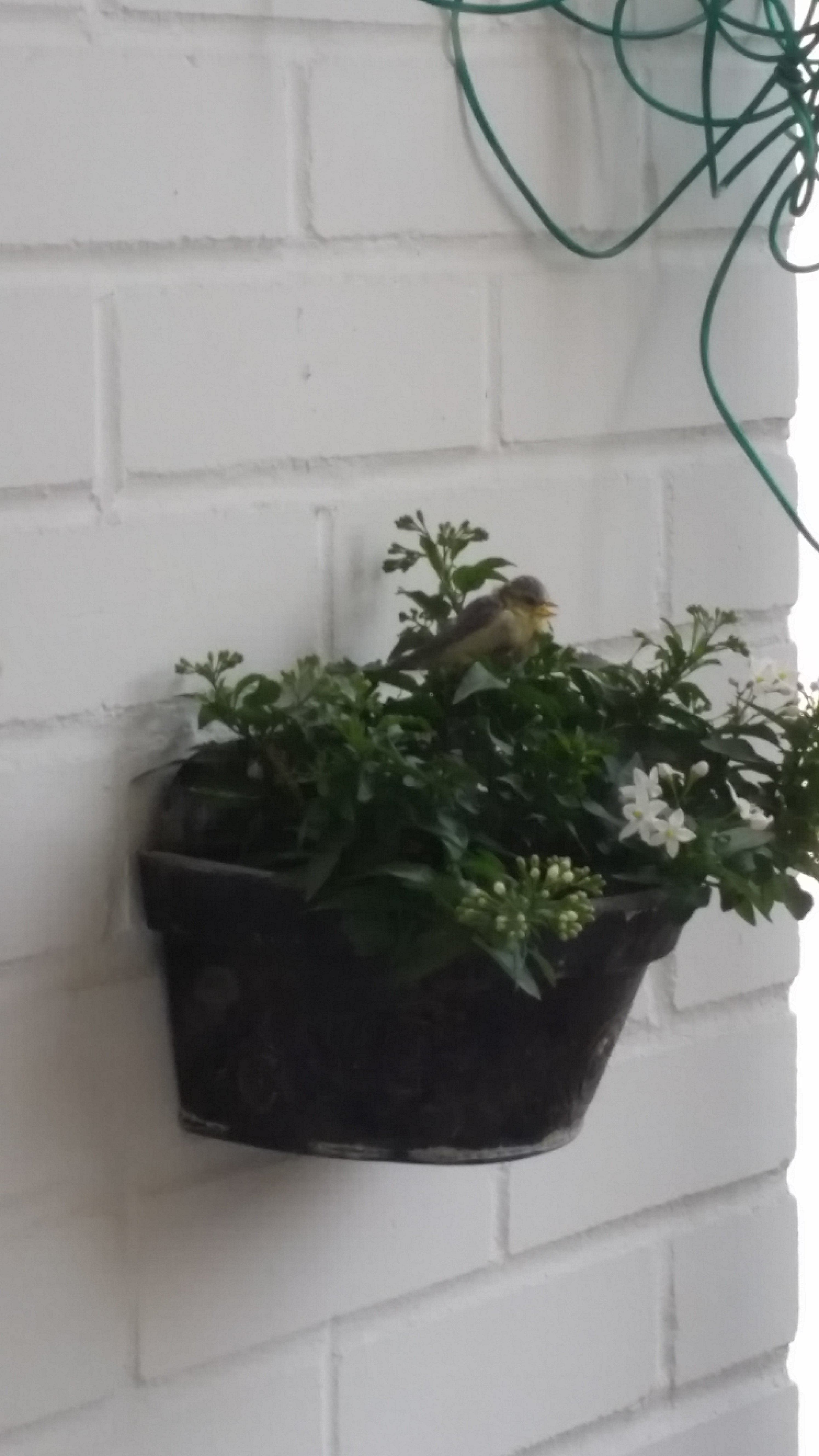 20160521_080615.jpg