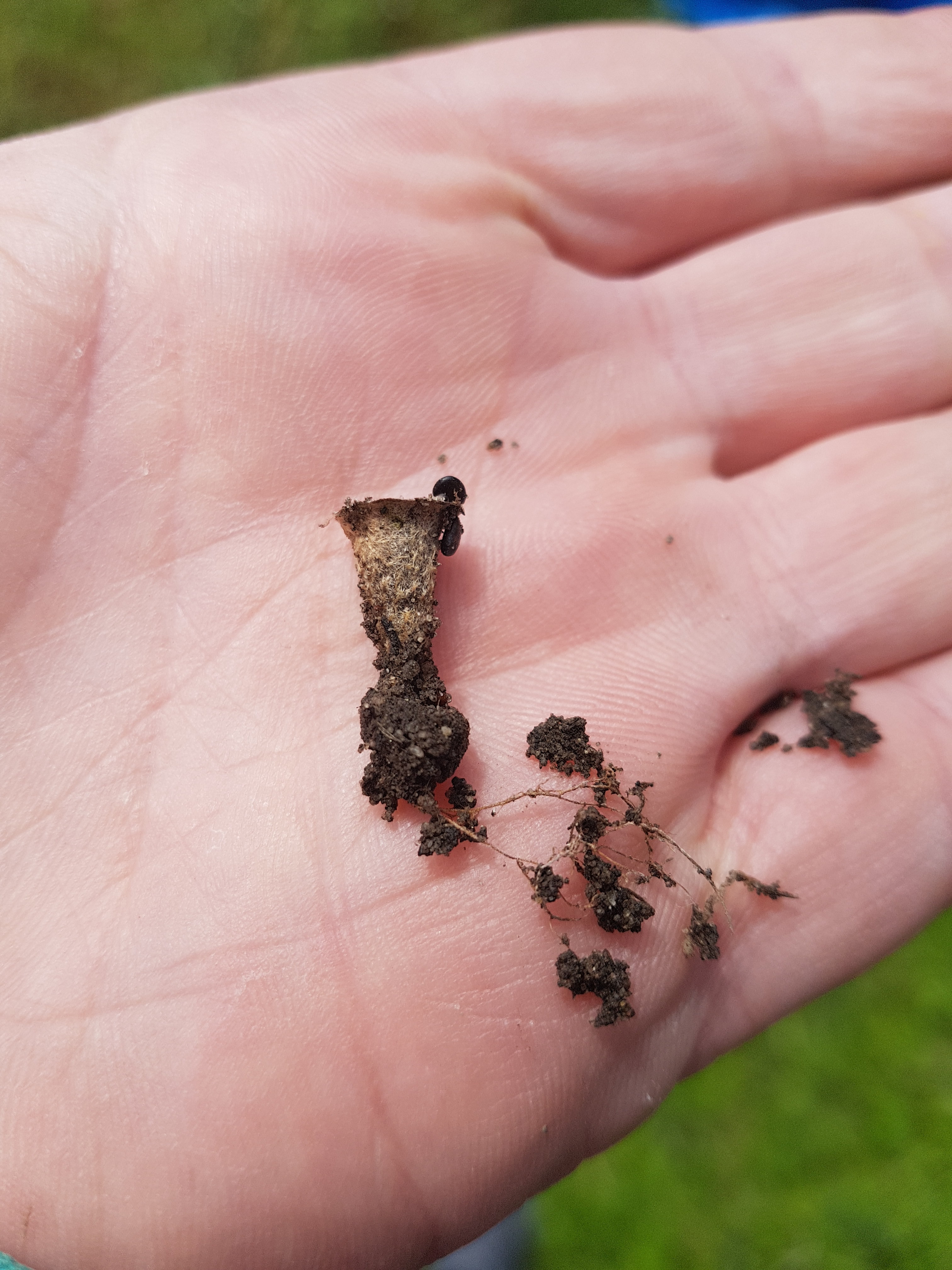 20190707_142020.jpg