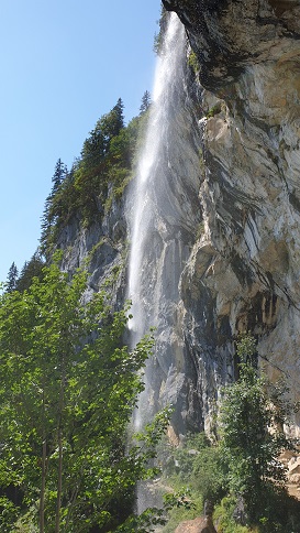 20200806_141541.jpg