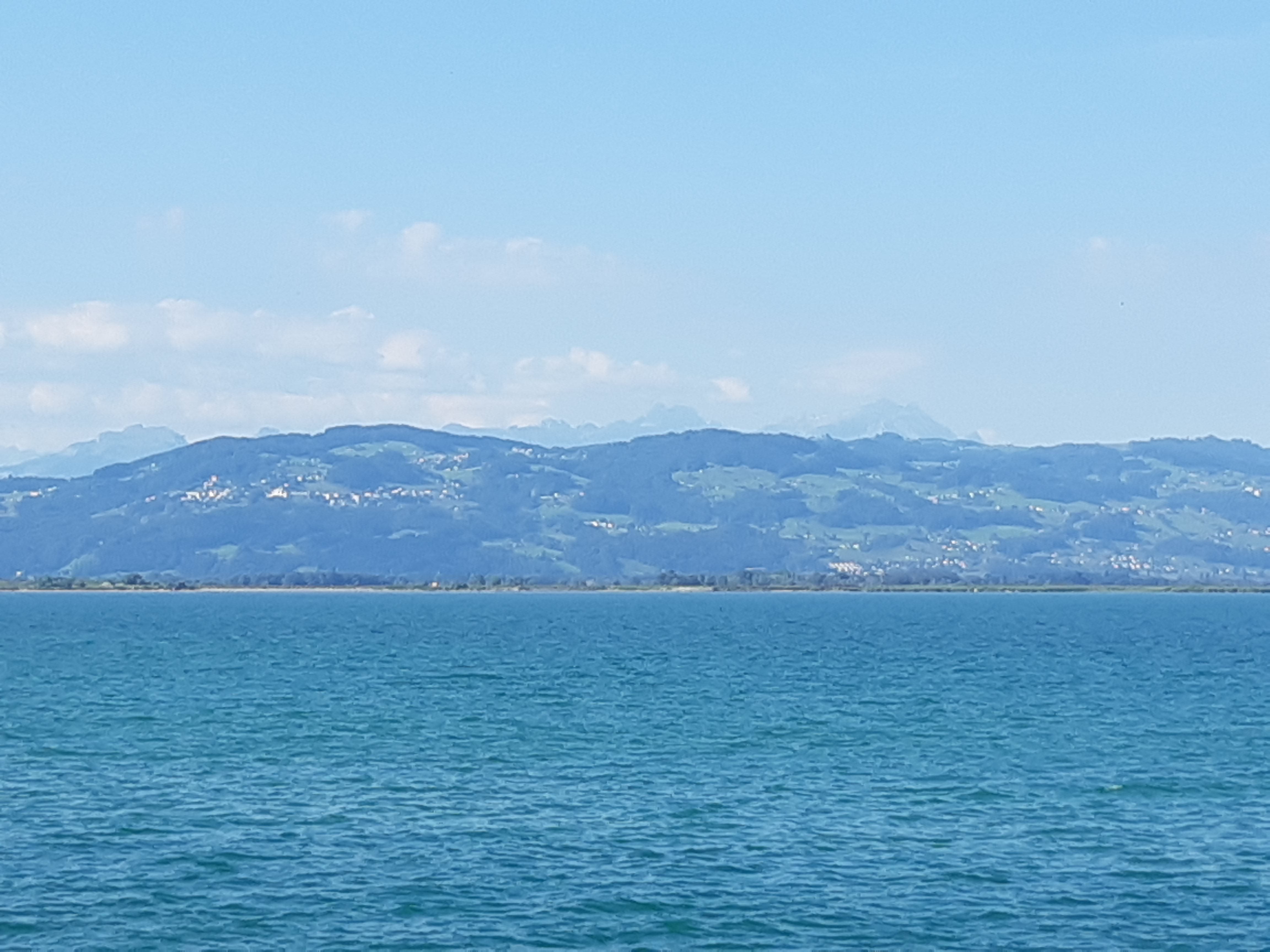 20220731_092131.jpg
