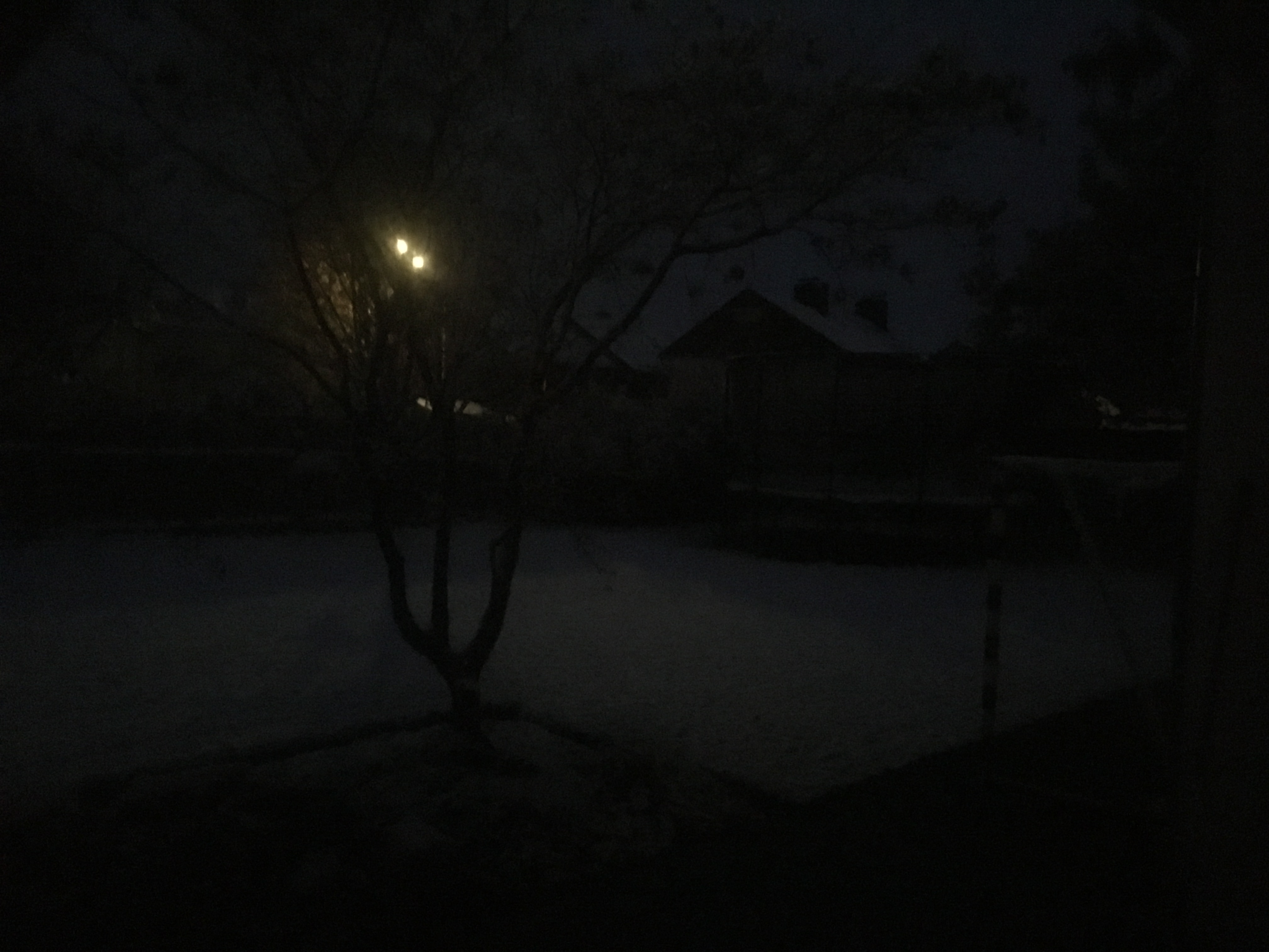 76D77E4F-250E-446D-B4C4-D69E904B74F2.jpeg