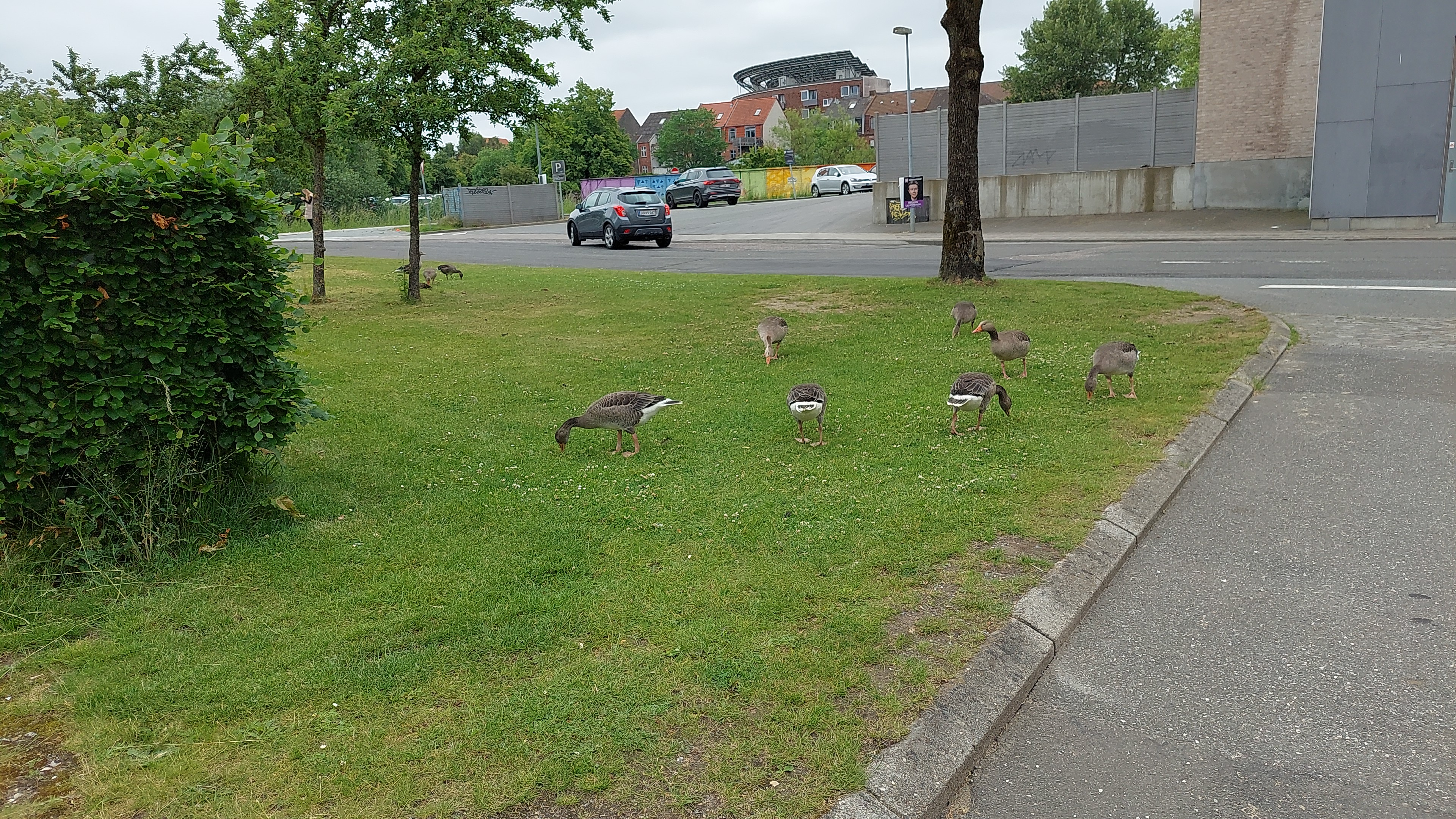 IMG-20240603-WA0011.jpeg