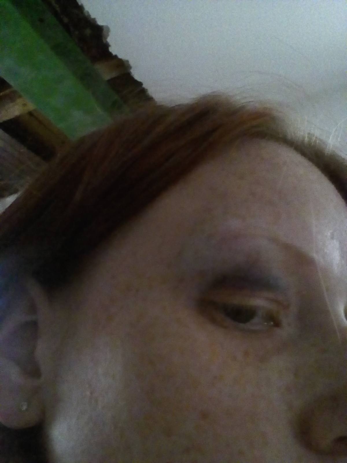 IMG_20160713_201151.jpg