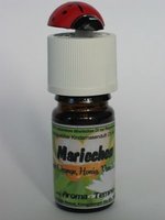 Intfoto Mariechen.jpg