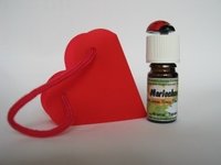 Intfoto Herztasche.jpg