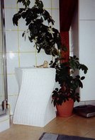 C:\Dokumente und Einstellungen\Nadine\Eigene Dateien\Eigene Bilder\netz\pau5.jpg