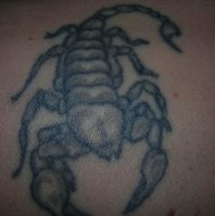 E:\Sandra\Bilder\Tattoo 008.JPG