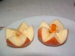 C:\Dokumente und Einstellungen\flogi\Eigene Dateien\Eigene Bilder\9.jpg