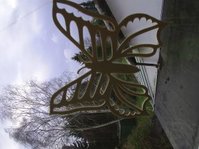 C:\Eigene Dateien\Schmetterling.jpg