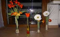 blumen 004.jpg