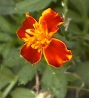 Web Foto 135.jpg
