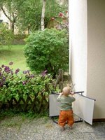 AD 2005 6 16. Dornenbüsche 013a.jpg