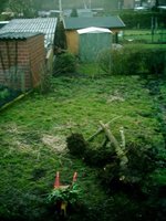 Garten links.jpg