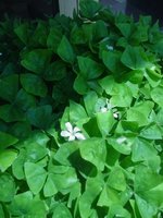 DSC05497.JPG