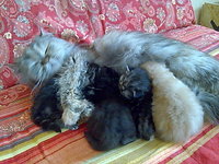 Bild023.jpg