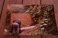 gartenvorher1.JPG