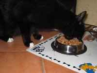 Micky 14.jpg