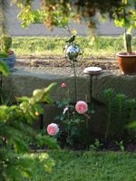 Rose mit Kugel [320x200].JPG