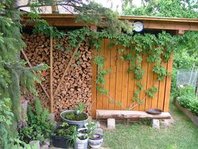 2008_0524Garten0026 [320x200].JPG
