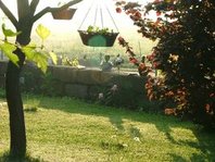 2008_0524Garten0033 [320x200].JPG