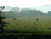 2008_0524Garten0037 [320x200].JPG