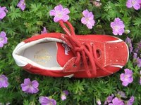 IMG_8085.jpg