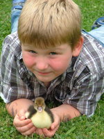 2008_0618Franzi0036.jpg