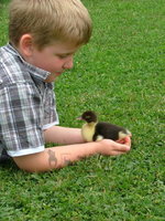 2008_0618Franzi0038.jpg