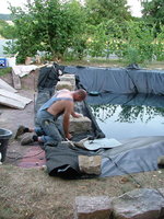 2008_0731Teich0024.jpg 2008_0731Teich0024.jpg