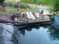 2008_0731Teich0002.jpg 2008_0731Teich0002.jpg