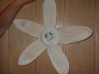 blumen4.jpg