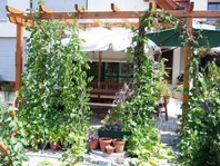 terrasse.jpg terrasse.jpg