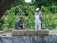 2008_0712Teich0006.jpg