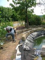 2008_0712Teich0012.jpg