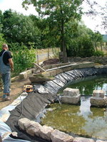 2008_0712Teich0015.jpg
