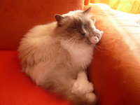 2008-03-01 200.jpg