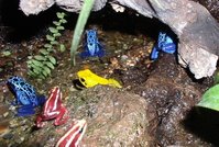 moby-foto-sch%F6ni-terrarium-2.jpg