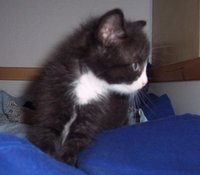 100_2218.jpg
