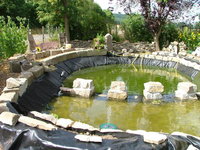 2008_0721Kakteen0014.jpg