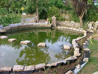 2008_0805Teich0001.jpg