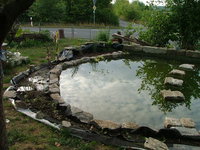 2008_0805Teich0002.jpg