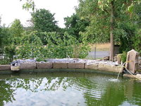 2008_0805Teich0003.jpg 2008_0805Teich0003.jpg