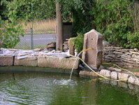 2008_0805Teich0004.jpg