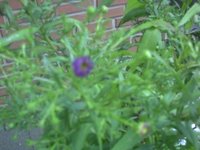 PICT0022.JPG
