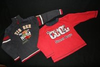 Pullis104110.jpg