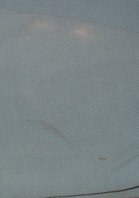 Sweat-eisblau-Flecken.jpg