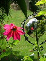 2008_0908Blumen0006.jpg